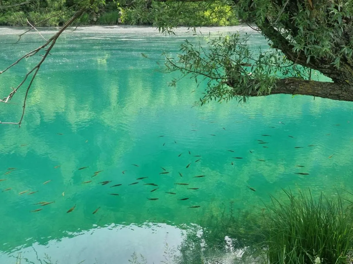 Kamp Camping Dolovi Croatia